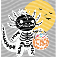 Animal Text Series-AT 308